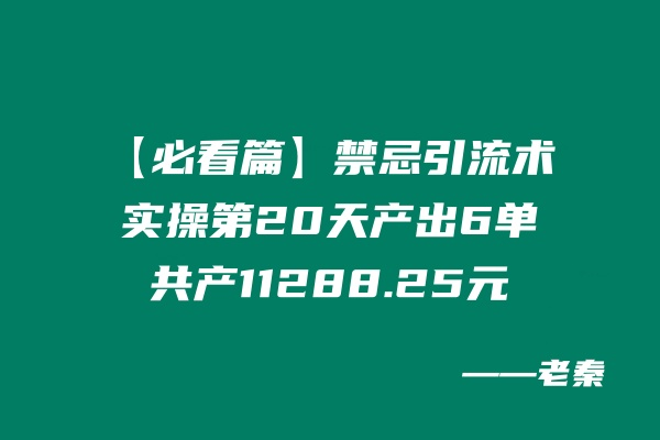 【必看篇】如何不用禁忌引流术，实操第20天产出6单，共产11288.25元 老秦