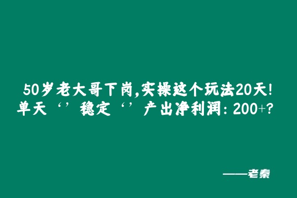 50岁老大哥下岗，实操这个玩法20天，单天‘’稳定‘’产出净利润：400+？ 老秦