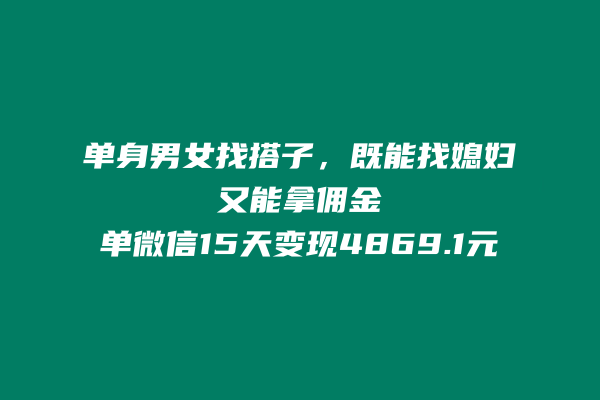 这个搭子玩法，纯无脑搬运，有铁子15天搞了4869.1元？ 老秦